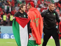 علم فلسطين في كأس العالم