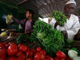اقتصاد السودان