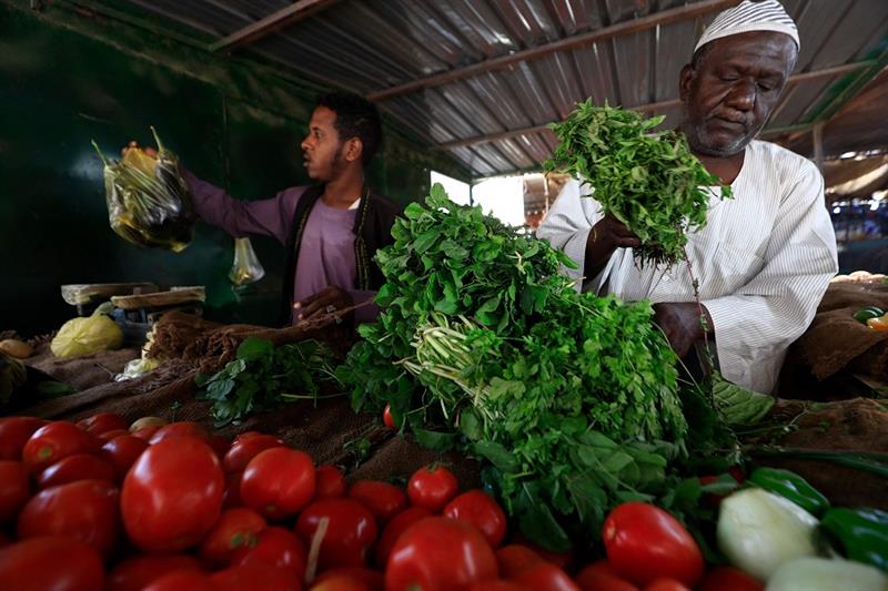 اقتصاد السودان