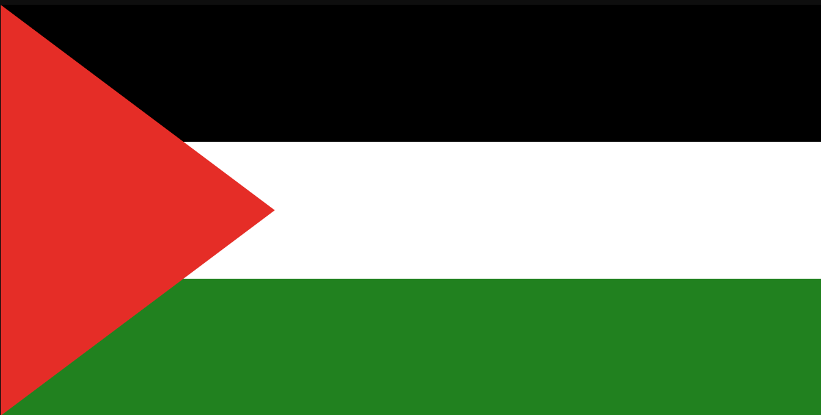 خطبة مراسلة rt على أسير فلسطيني 